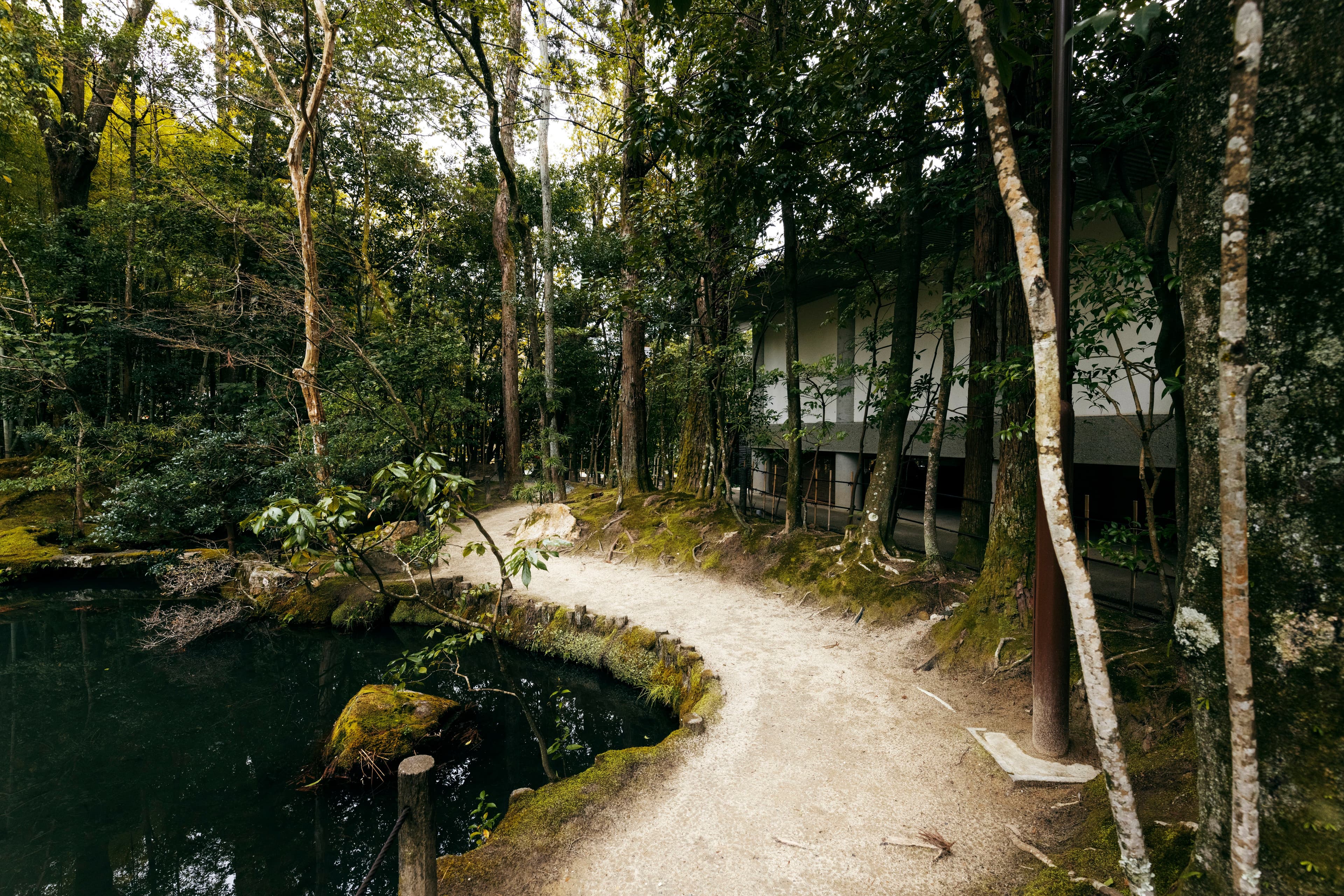 The Real Impact of Walking in Wild Places